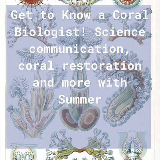 Get to Know a Coral Biologist