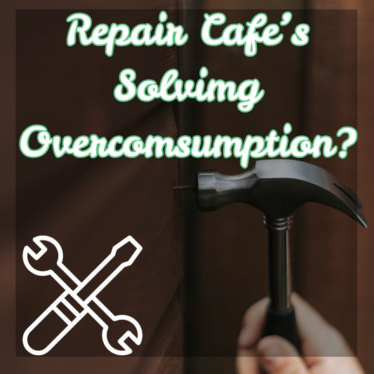Repair Cafes, a New Step in Sustainability?