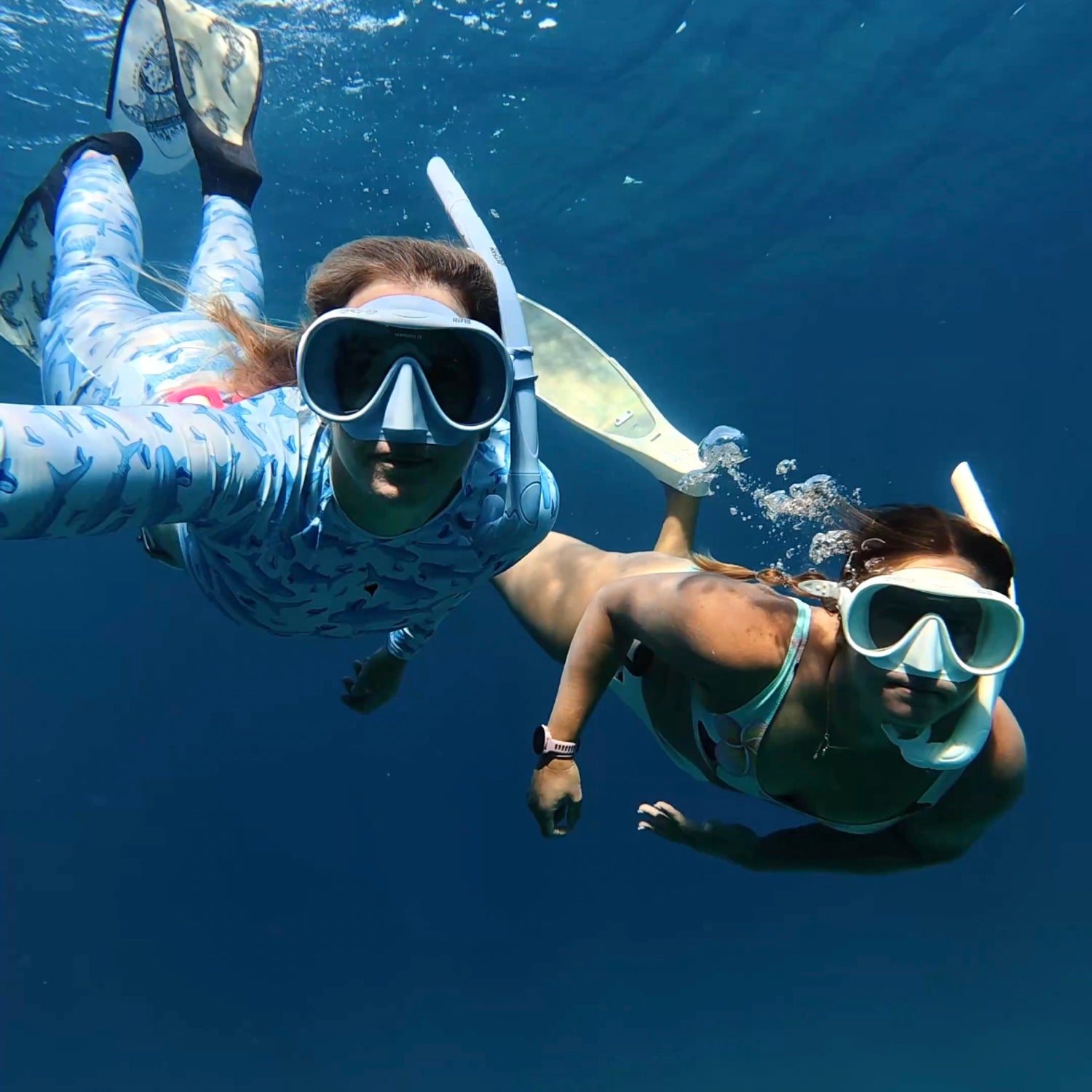 Tiger beach blues and shark tooth paradise set on free divers