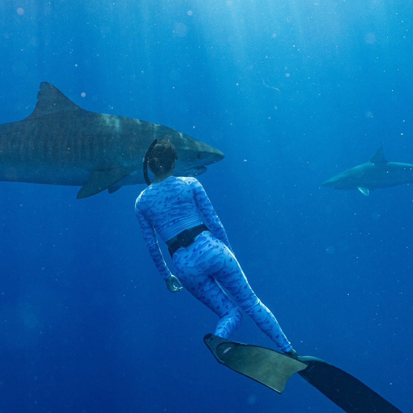 Baby blue waves and Sky Blue Tiger sharks swim around royal blue tiger shark teeth on our Tiger Beach Blues Recycled dive leggings with pockets