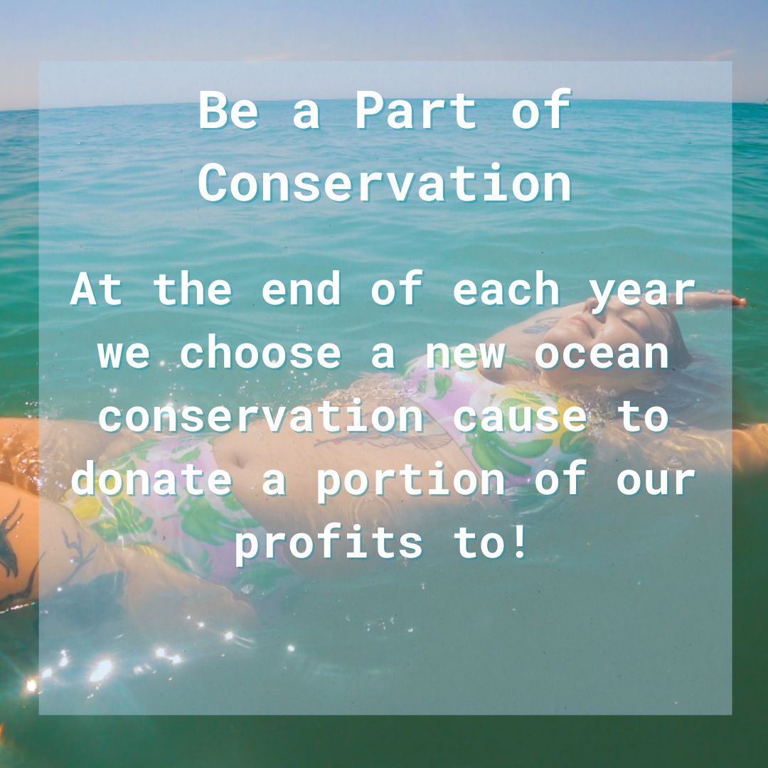 Info graphic explaining our donations made to ocean conservation and shark science