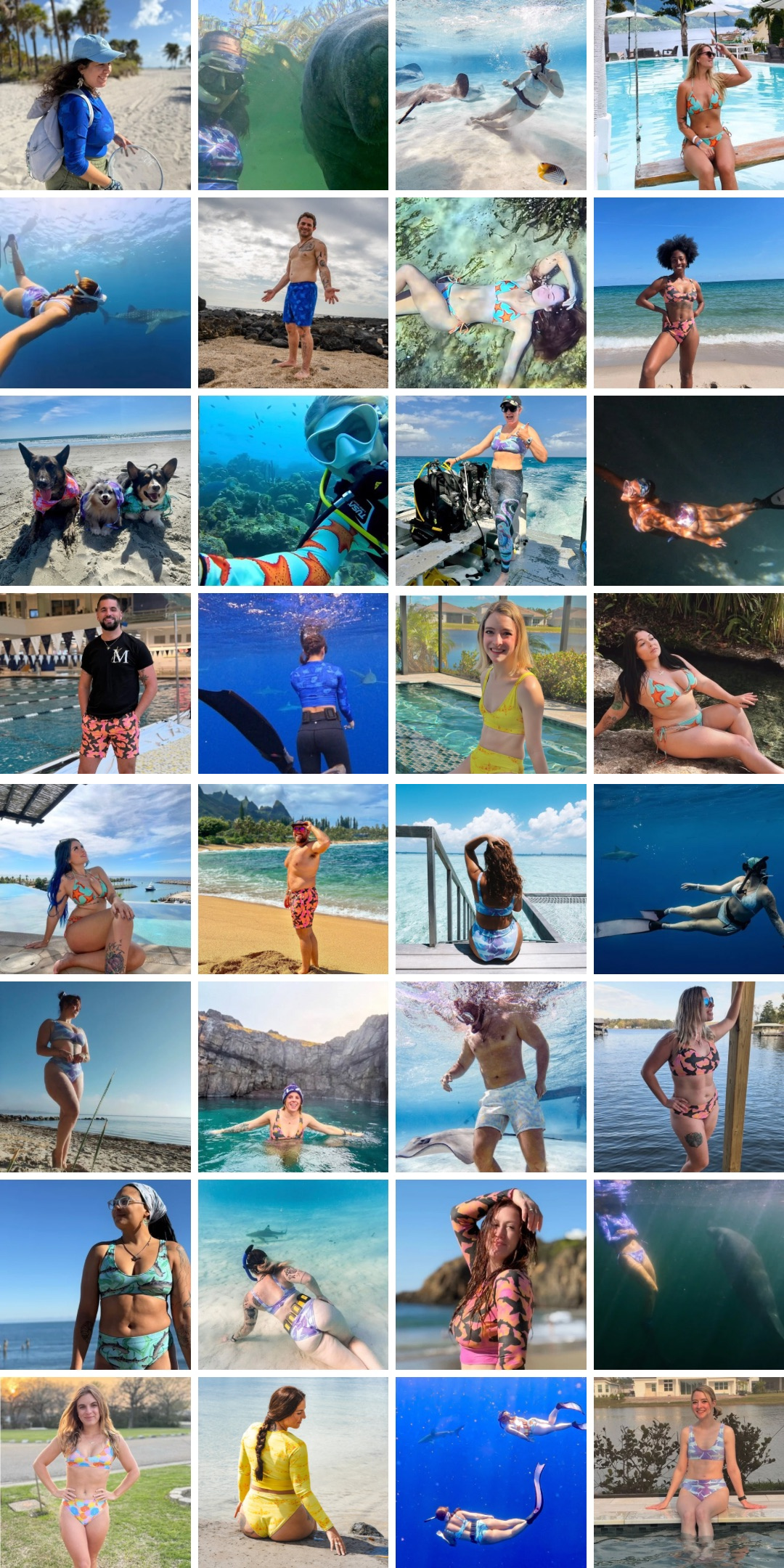 The shark fin swim community of biologists, divers, mermaids, ocean advocates and shark lovers all wearing their shark fin swim swimwear