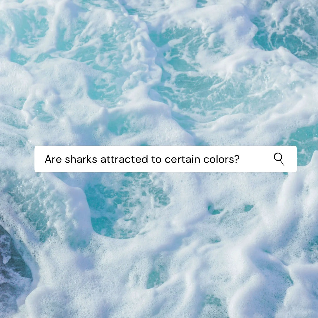 Ocean background with search bar 