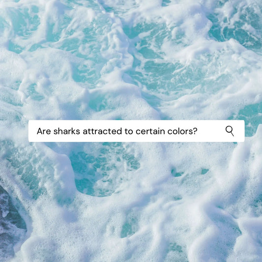 Ocean background with search bar 