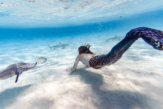 Get to Know a Mermaid with Katie; mermaid certification and safety