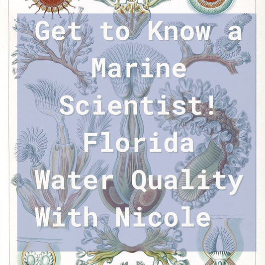Get to Know a Marine Scientist: Water Quality with Nicole