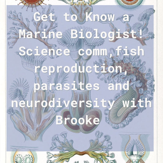 Get to Know a Marine Biologist: Science Communication, Fish Reproduction, and More!
