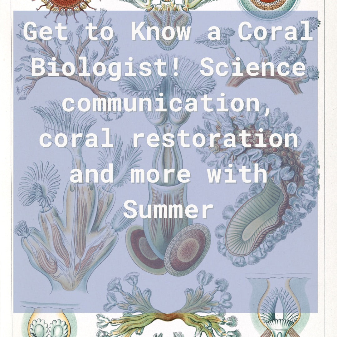Get to Know a Coral Biologist
