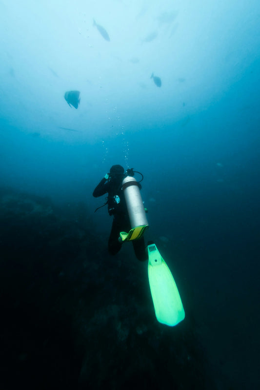 Get to know a Freediver with Krista