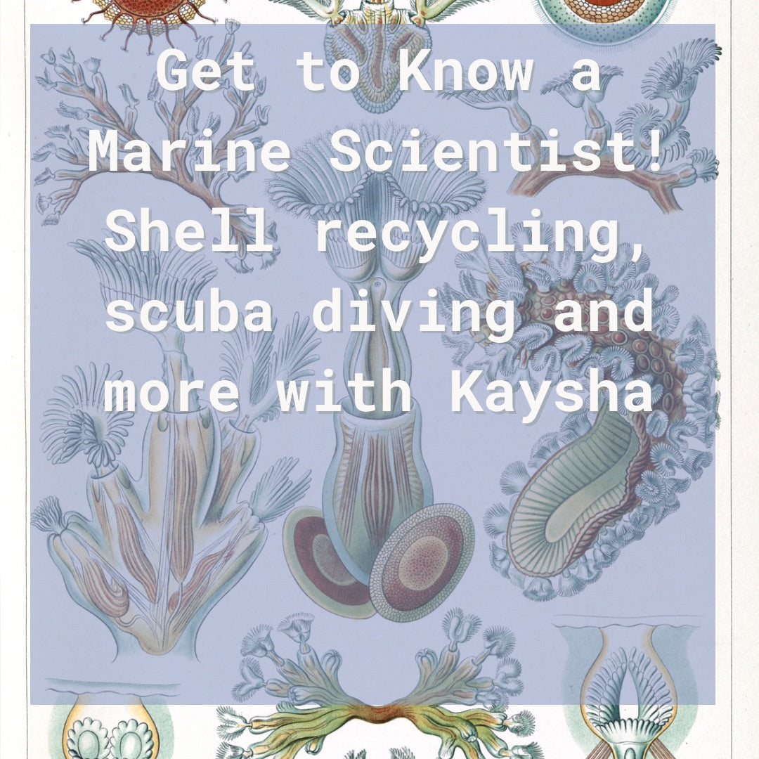 Get to Know a Marine Scientist: Oyster Shell Recycling with Kaysha