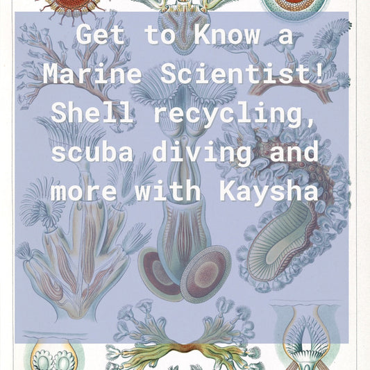 Get to Know a Marine Scientist: Oyster Shell Recycling with Kaysha
