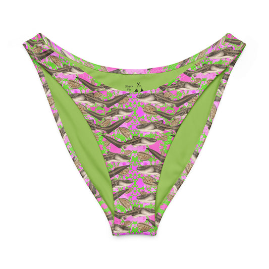 Green and pink patterned bikini bottom with zebra sharks and cowrie shells on a white background
