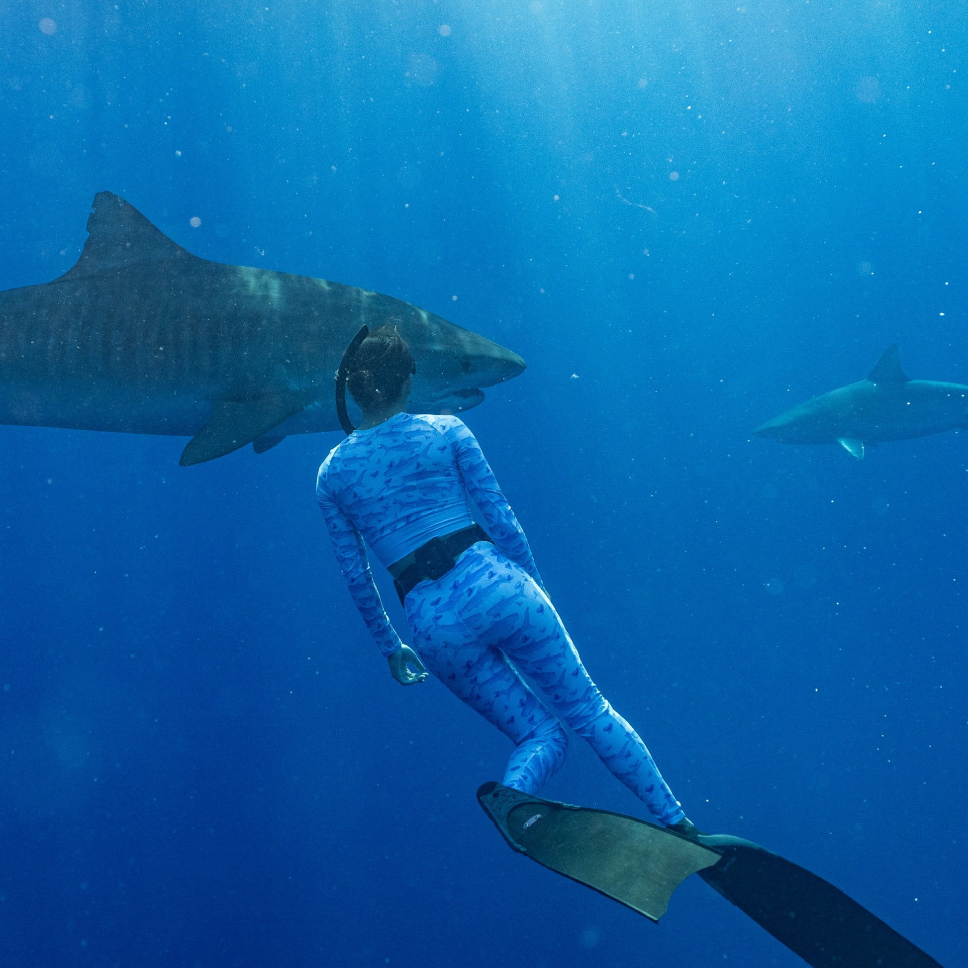 Baby blue waves and Sky Blue Tiger sharks swim around royal blue tiger shark teeth on our Tiger Beach Blues Recycled dive leggings with pockets 