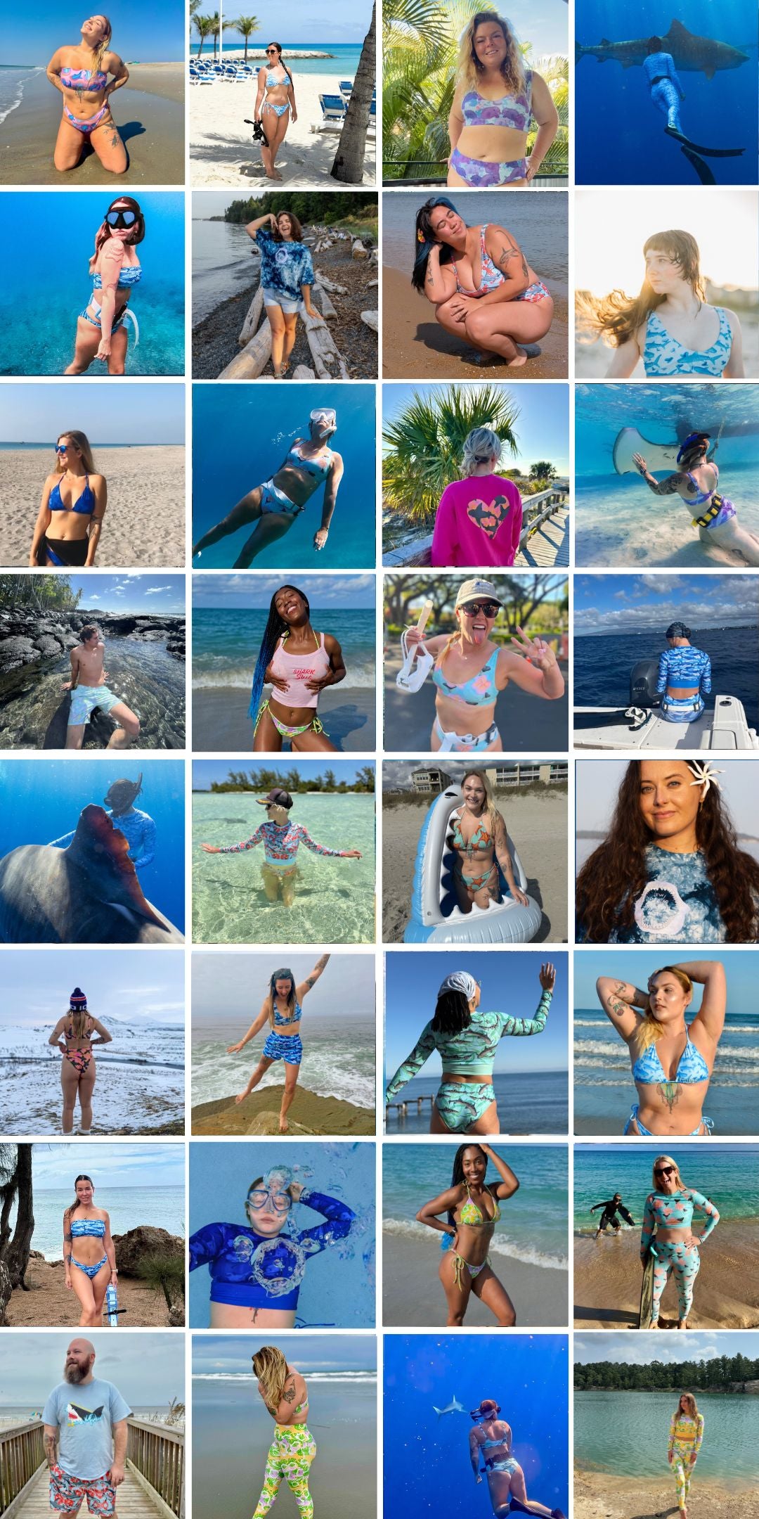 Community collage shark fin swim