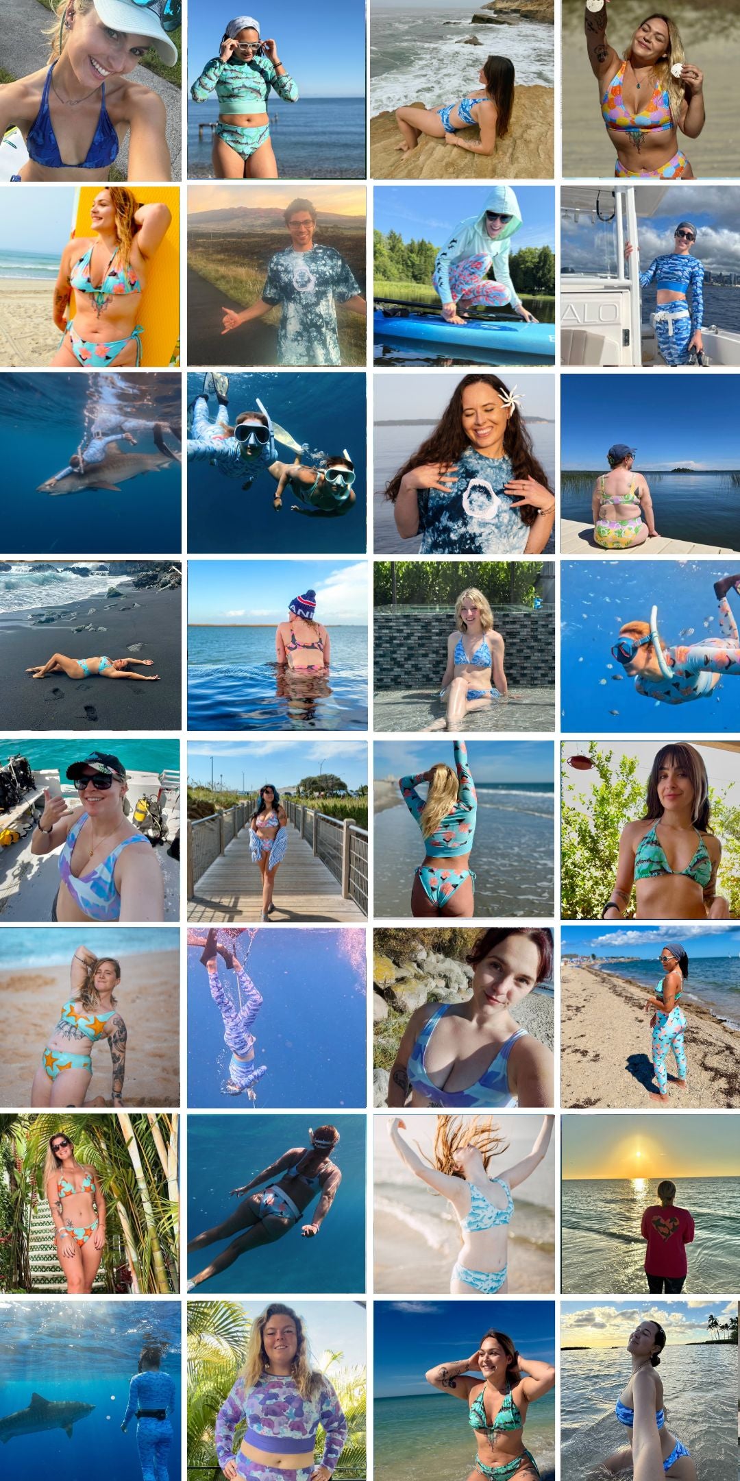 Shark fin swim community collage 