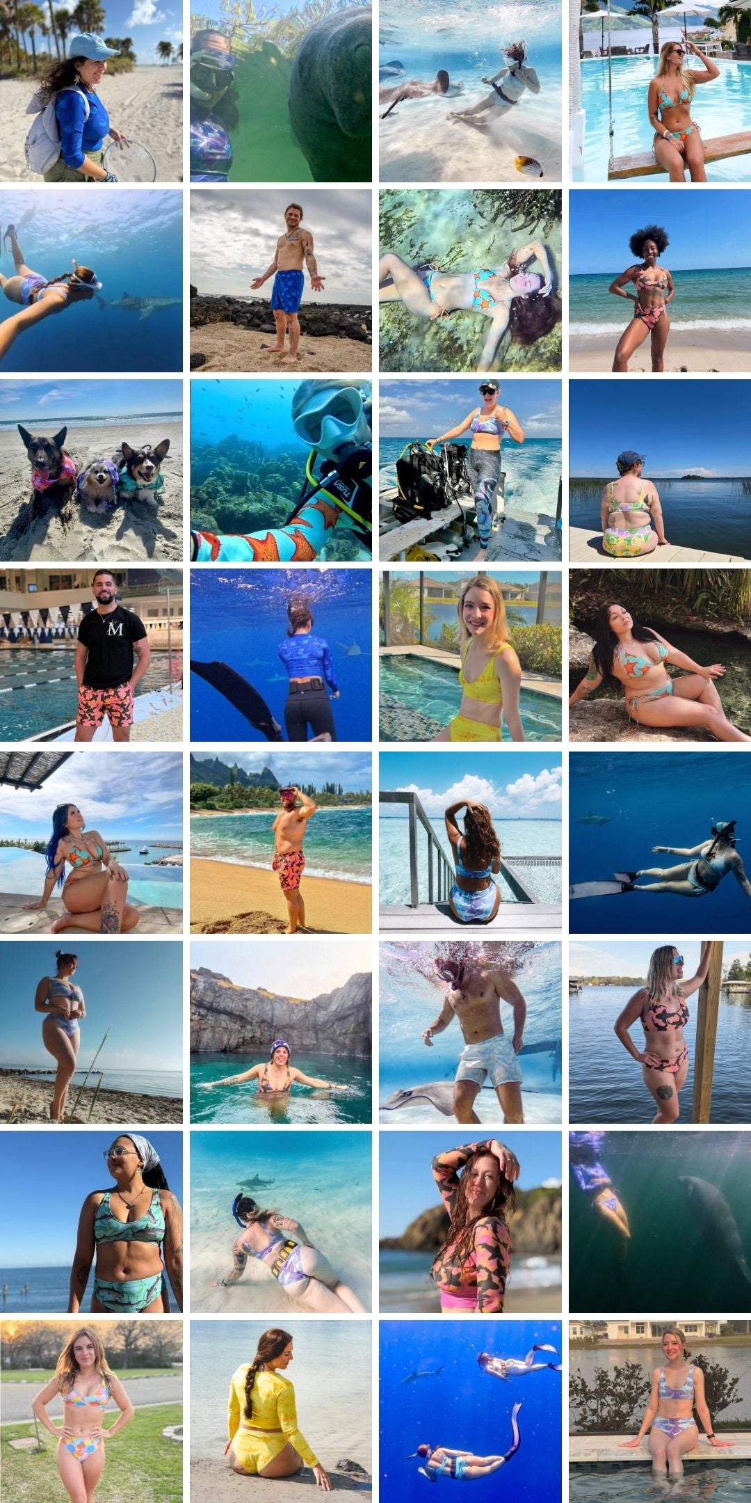 Shark fin swim community collage 