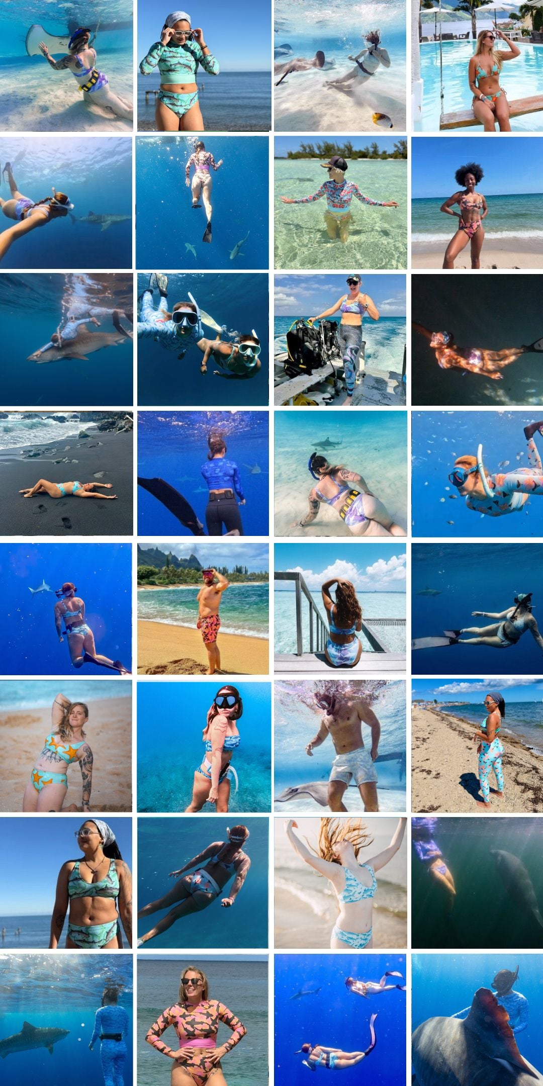 Shark fin swim community collage 