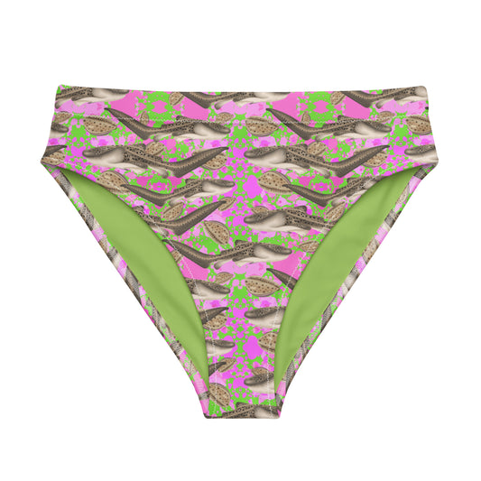 Green and pink high waisted bikini bottoms with zebra sharks and cowrie seashells