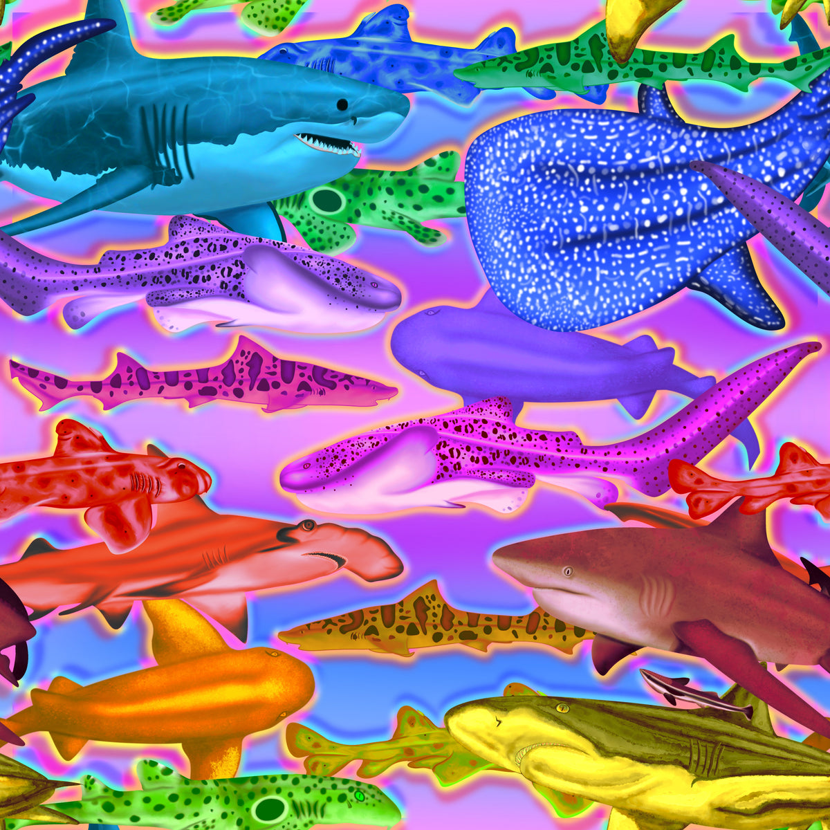 Collage of rainbow sharks