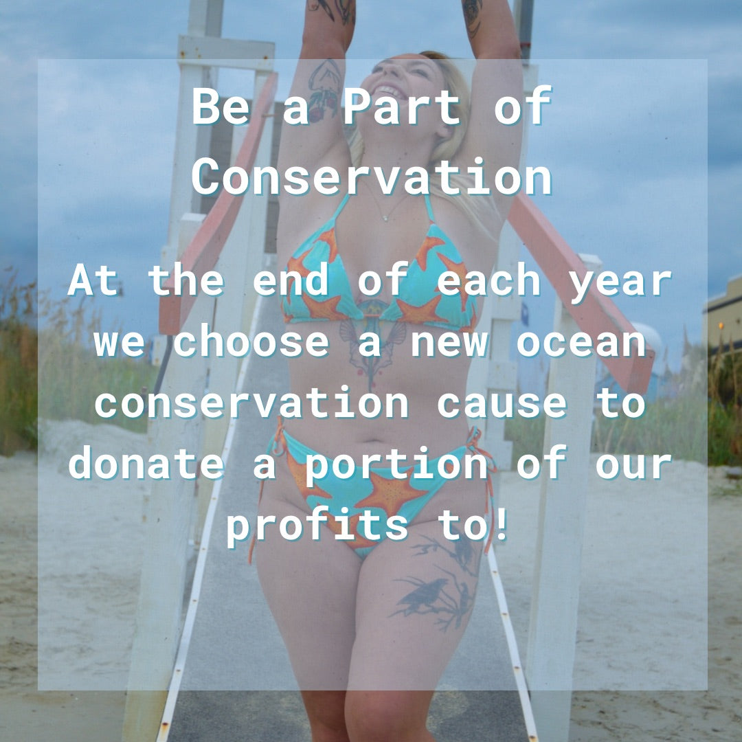 Sustainable starfish bikini from shark fin swim 