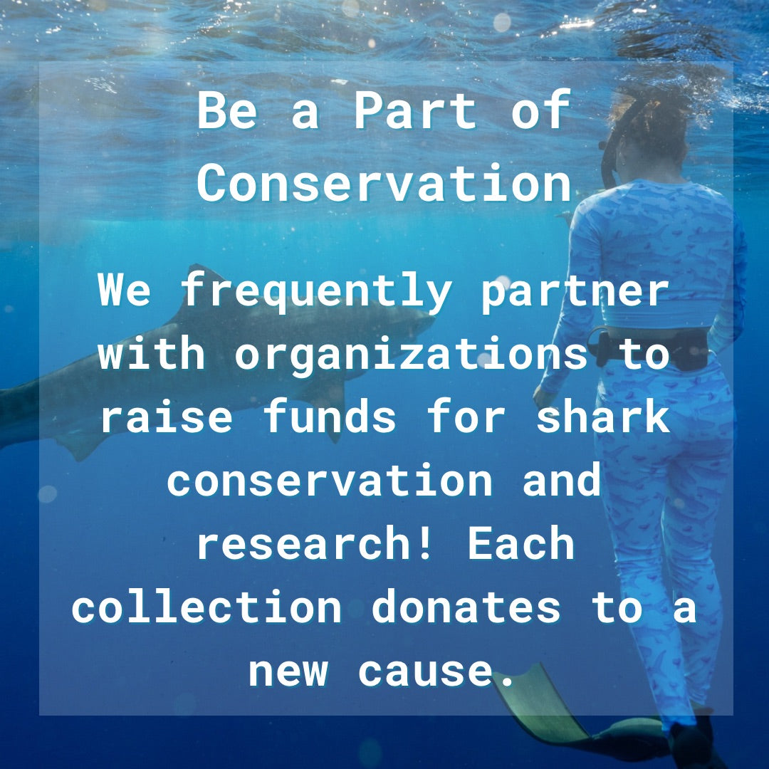 Graphic with a tiger shark and woman diving with text explaining shark fin swim donates to conservation and shark research 
