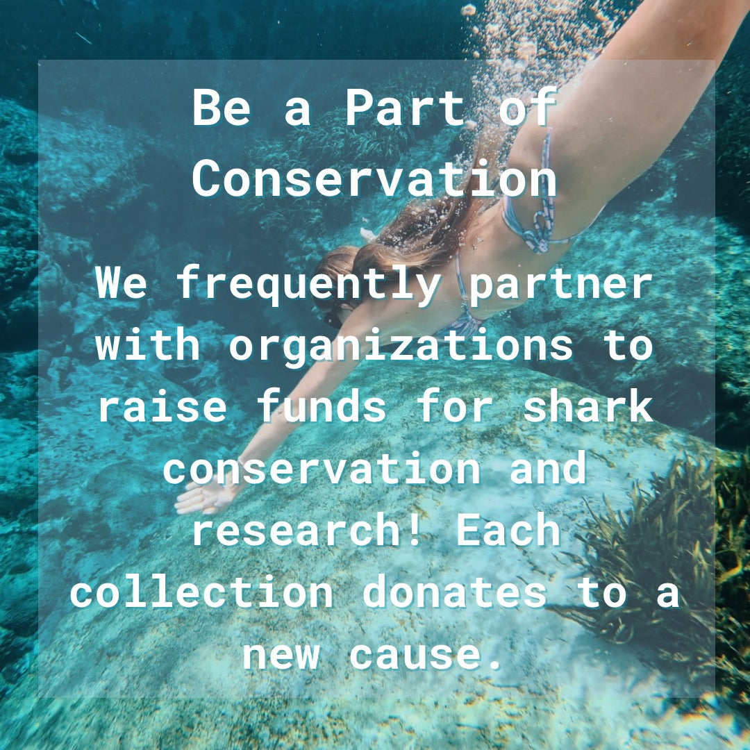 Text over an image of Sanke free diving in the springs wearing the rainbow bubblegum whale shark string bikini 